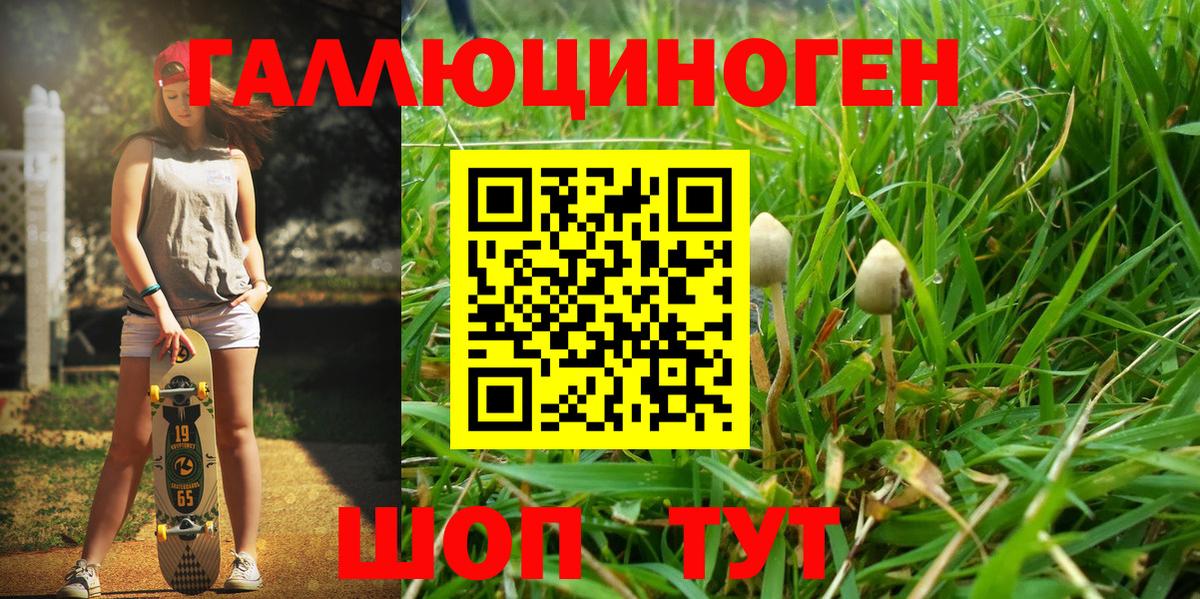 Пушкино  Псилоцибиновые грибы мицелий  Вход с VPN  Галлюциногенные грибы Magic Shrooms 
